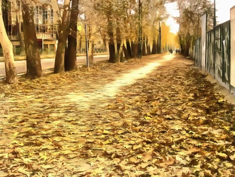 Tahran'daki Valiasr caddesi kaldırımında altın rengi sonbahar yaprakları