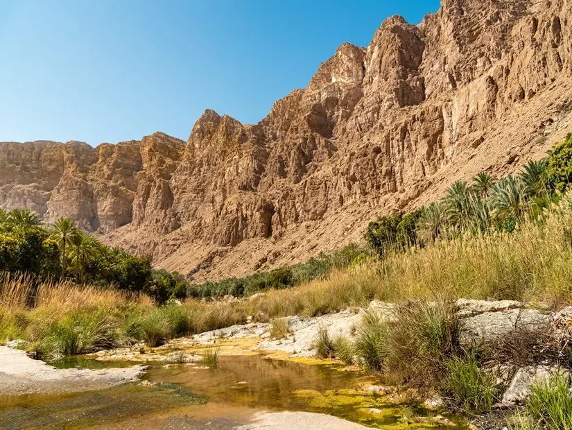 Wadi Tiwi görünümü