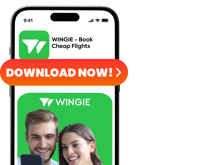 Превью приложения WINGIE