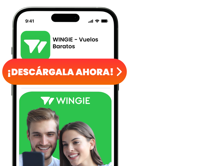 Vista previa de la app WINGIE
