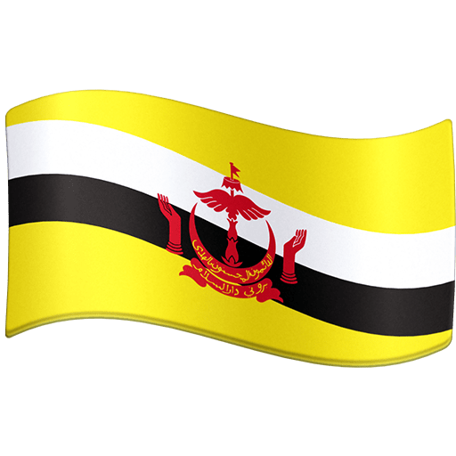 Brunei bayrağı