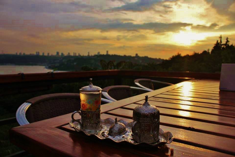 İstanbul�da doğakitapkahve üçlüsüyle dinlenebileceğiniz en tenha 7